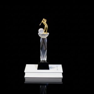 Alternative view of B006